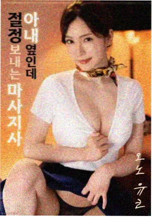 候鸟站台版本比较